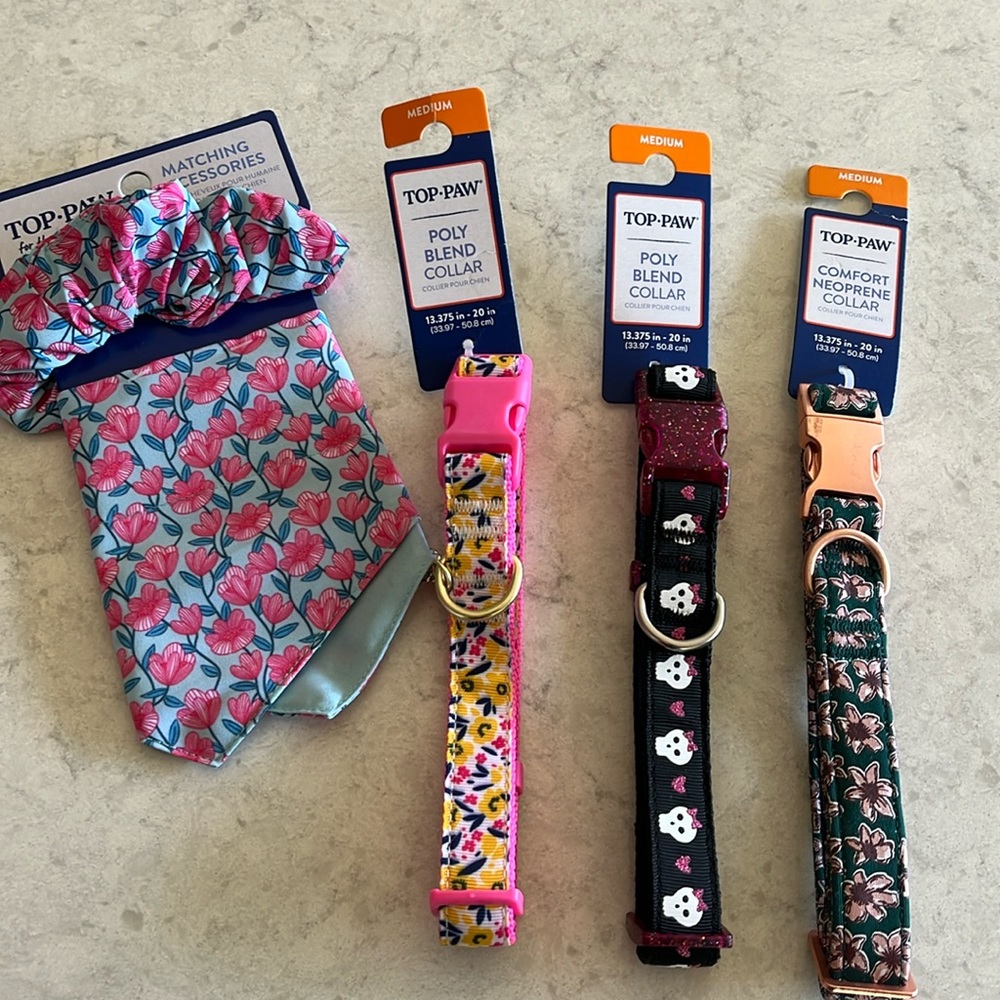 Top Paw Collar and bandana lot M